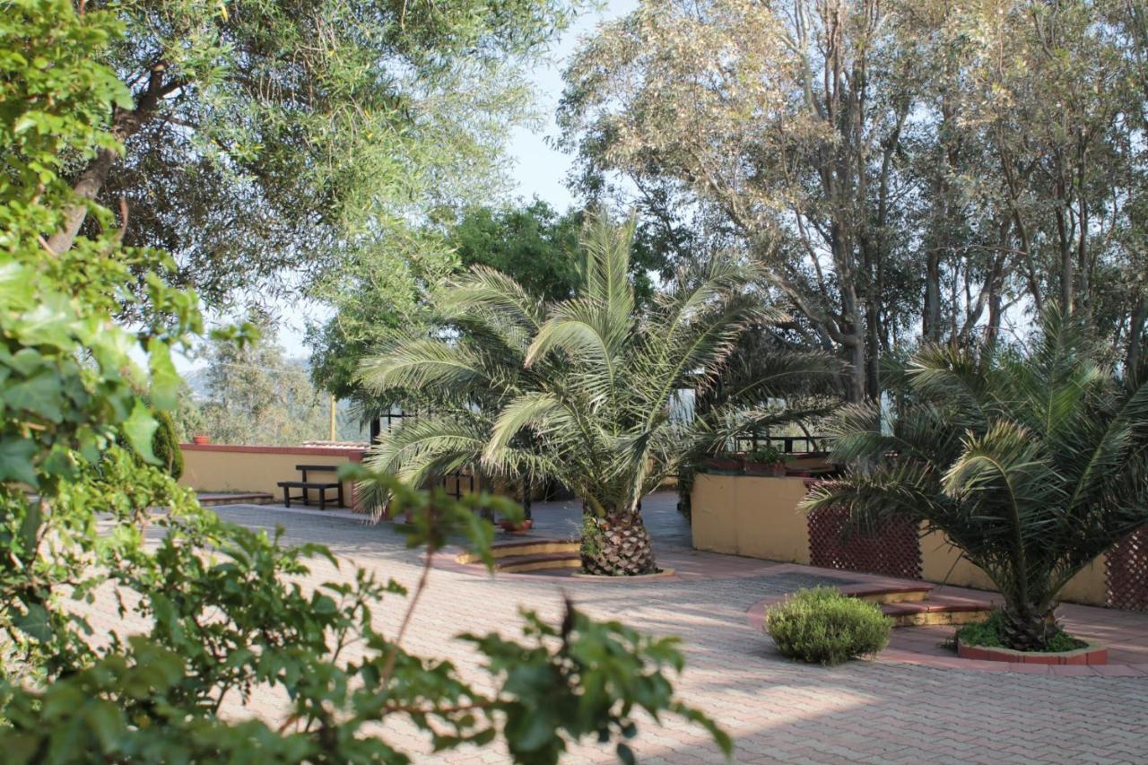 לינה וארוחת בוקר טאולאדה Agriturismo E Antica Fattoria Matteu מראה חיצוני תמונה