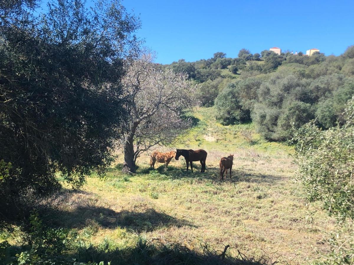 לינה וארוחת בוקר טאולאדה Agriturismo E Antica Fattoria Matteu מראה חיצוני תמונה